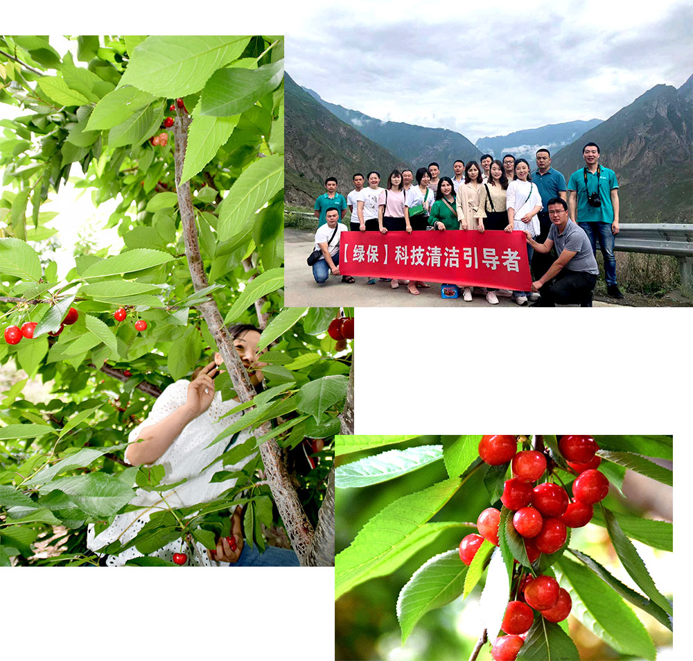 綠保摘車?yán)遄? alt=